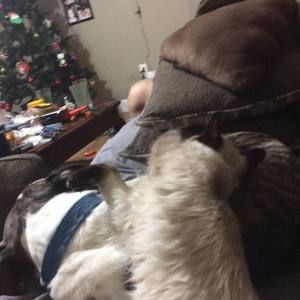 Meet your Posher, Mason